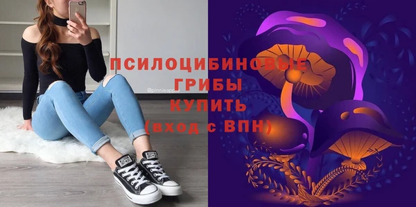 мяу мяу кристалл Горняк